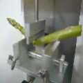 Asparagus breaking force measurement